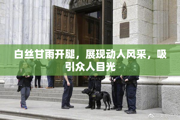 白丝甘雨开腿，展现动人风采，吸引众人目光