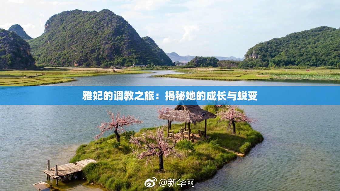雅妃的调教之旅：揭秘她的成长与蜕变