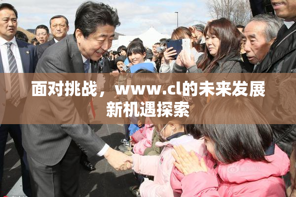面对挑战，www.cl的未来发展新机遇探索