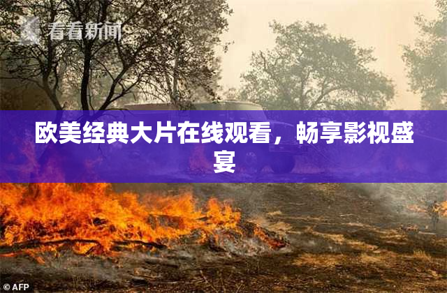 欧美经典大片在线观看，畅享影视盛宴