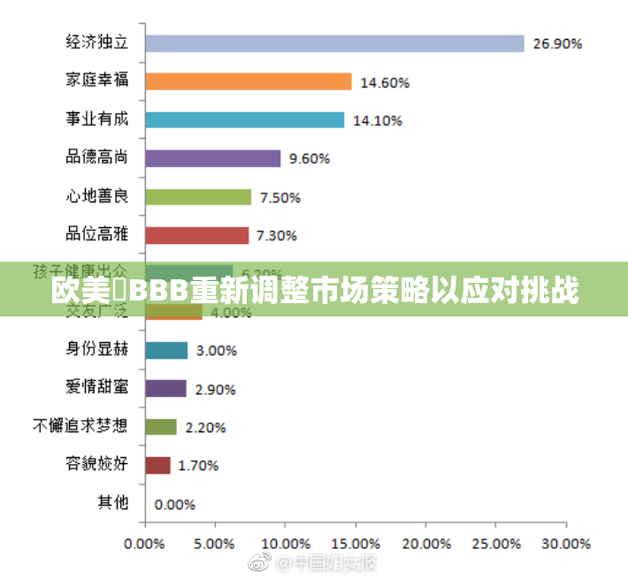 欧美槡BBB重新调整市场策略以应对挑战