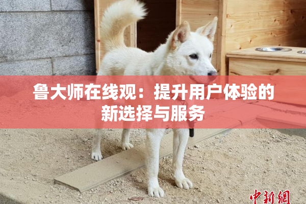 鲁大师在线观：提升用户体验的新选择与服务