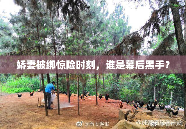 娇妻被绑惊险时刻，谁是幕后黑手？