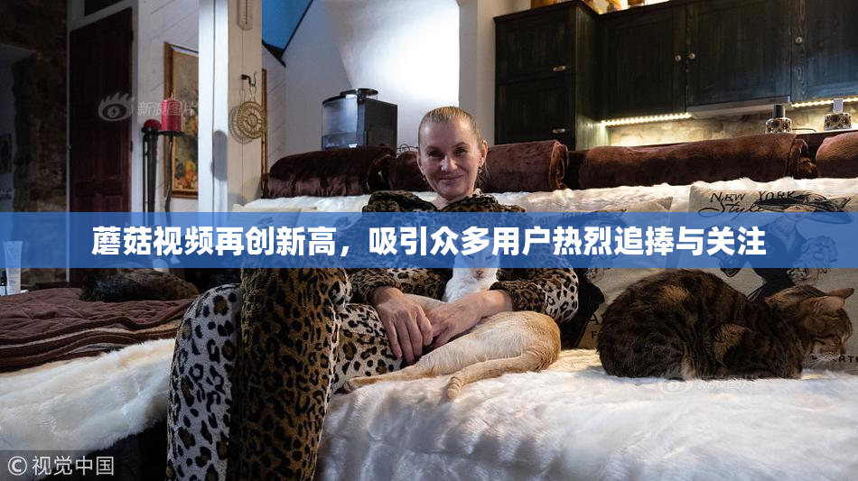 蘑菇视频再创新高，吸引众多用户热烈追捧与关注