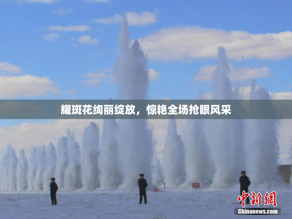 耀斑花绚丽绽放，惊艳全场抢眼风采