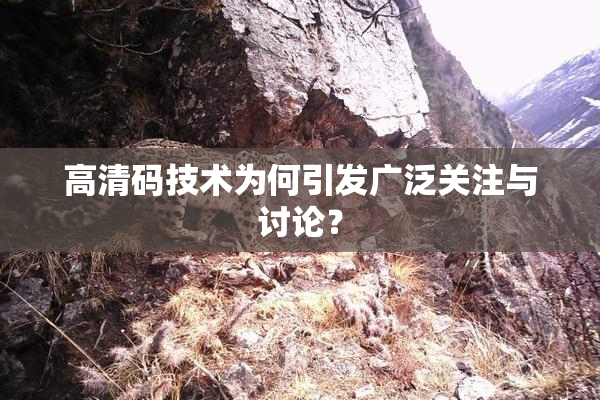 高清码技术为何引发广泛关注与讨论？