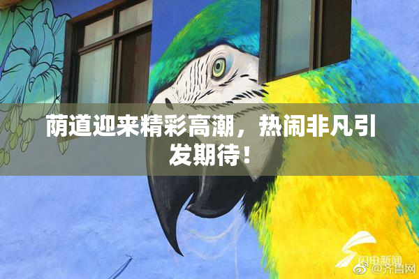 荫道迎来精彩高潮，热闹非凡引发期待！
