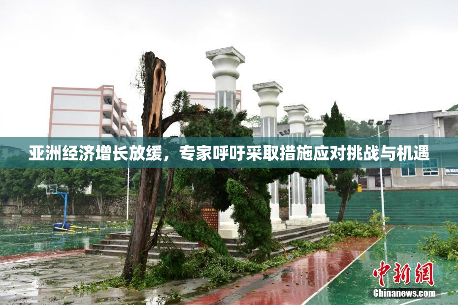 亚洲经济增长放缓，专家呼吁采取措施应对挑战与机遇