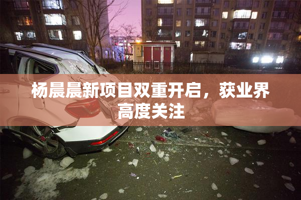 杨晨晨新项目双重开启，获业界高度关注