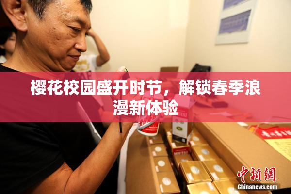 樱花校园盛开时节，解锁春季浪漫新体验