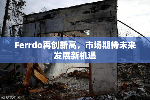 Ferrdo再创新高，市场期待未来发展新机遇