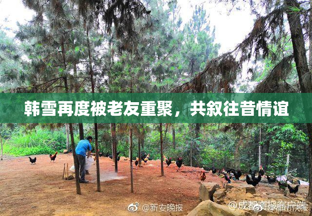 韩雪再度被老友重聚，共叙往昔情谊