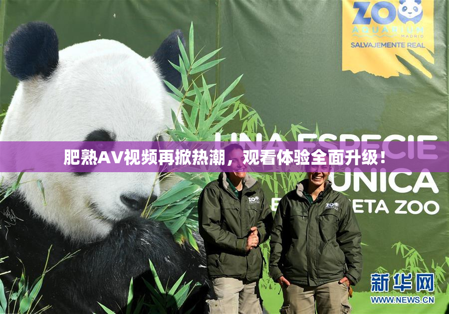 肥熟AV视频再掀热潮，观看体验全面升级！