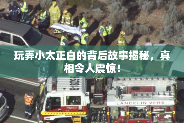 玩弄小太正白的背后故事揭秘，真相令人震惊！