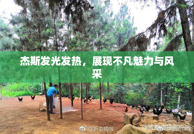 杰斯发光发热，展现不凡魅力与风采