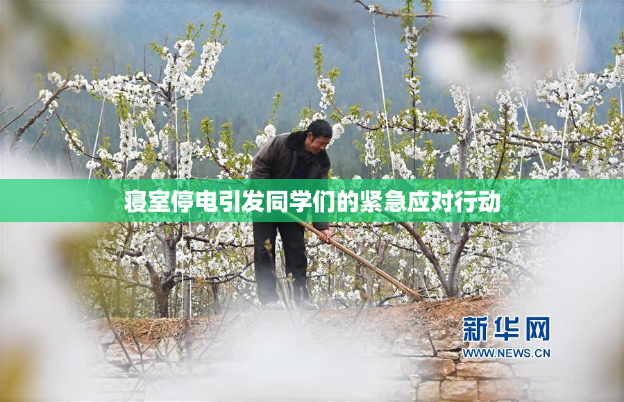 寝室停电引发同学们的紧急应对行动