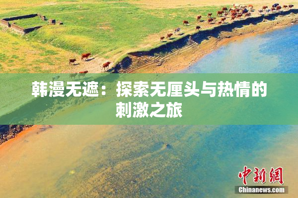韩漫无遮：探索无厘头与热情的刺激之旅