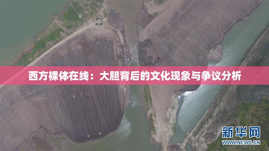 西方裸体在线：大胆背后的文化现象与争议分析