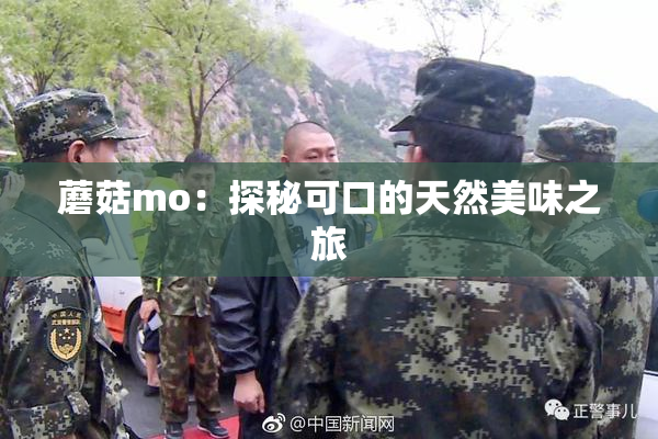 蘑菇mo：探秘可口的天然美味之旅