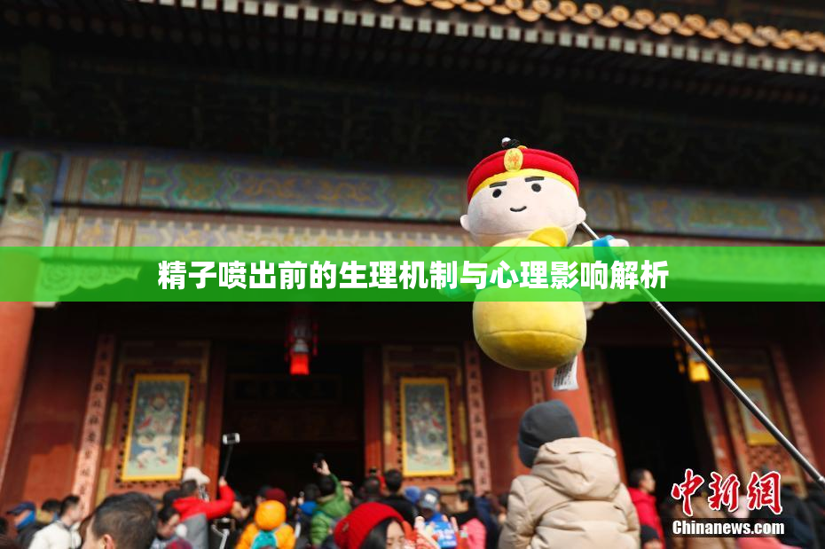精子喷出前的生理机制与心理影响解析