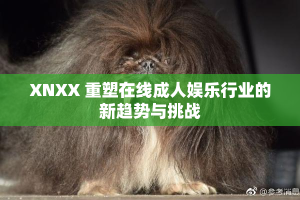 XNXX 重塑在线成人娱乐行业的新趋势与挑战