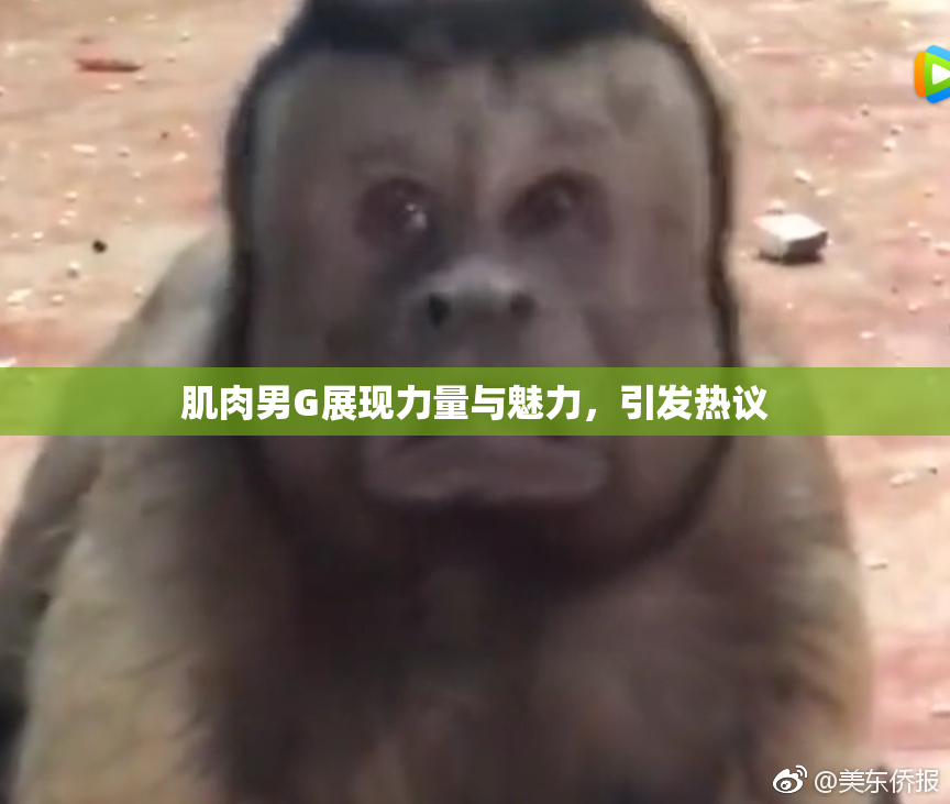 肌肉男G展现力量与魅力，引发热议
