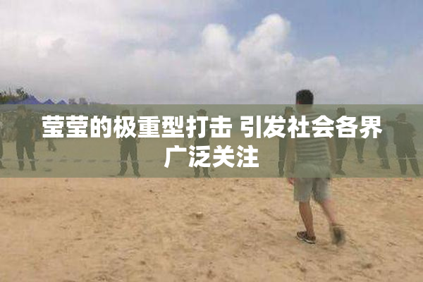 莹莹的极重型打击 引发社会各界广泛关注