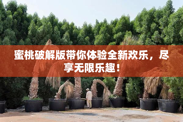 蜜桃破解版带你体验全新欢乐，尽享无限乐趣！