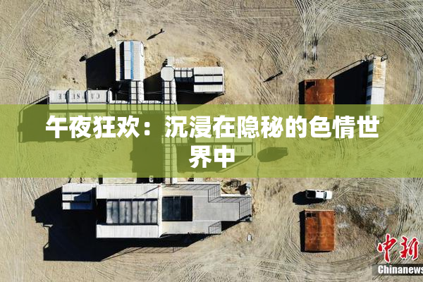 午夜狂欢：沉浸在隐秘的色情世界中