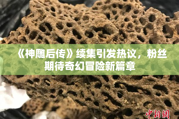 《神雕后传》续集引发热议，粉丝期待奇幻冒险新篇章