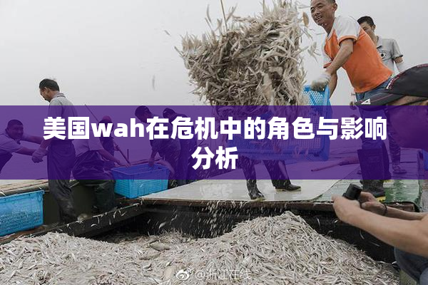 美国wah在危机中的角色与影响分析