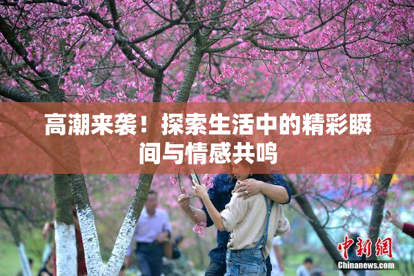 高潮来袭！探索生活中的精彩瞬间与情感共鸣