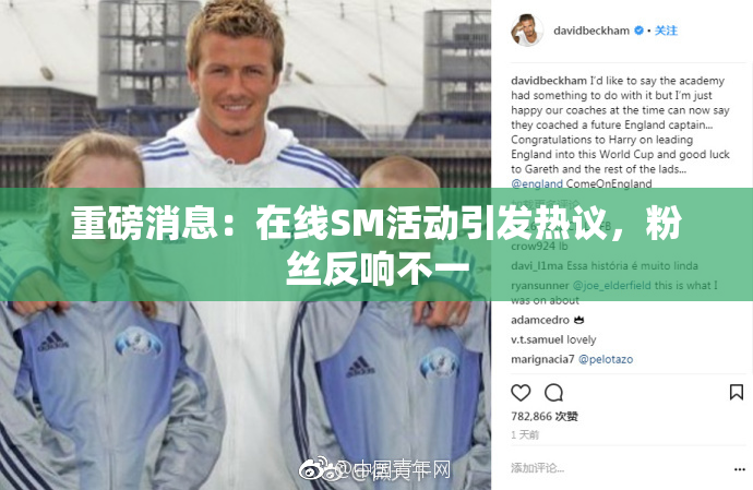 重磅消息：在线SM活动引发热议，粉丝反响不一