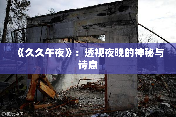《久久午夜》：透视夜晚的神秘与诗意