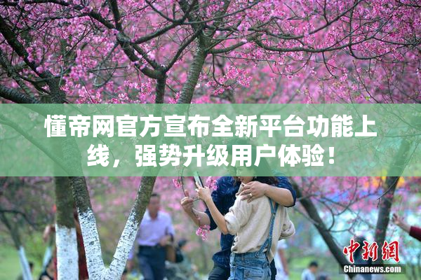 懂帝网官方宣布全新平台功能上线，强势升级用户体验！