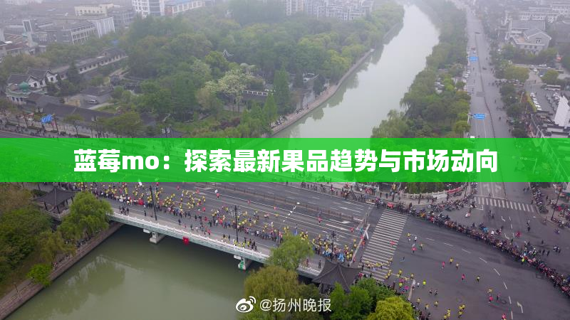 蓝莓mo：探索最新果品趋势与市场动向