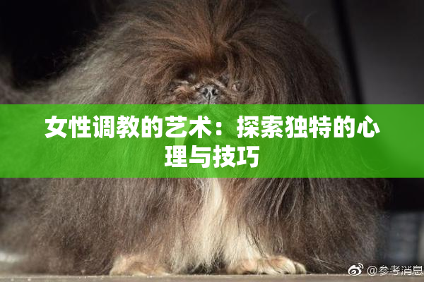 女性调教的艺术：探索独特的心理与技巧