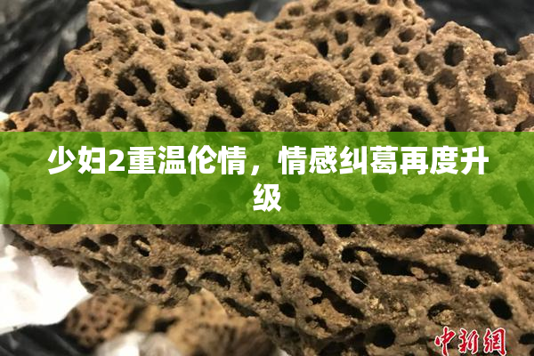 少妇2重温伦情，情感纠葛再度升级