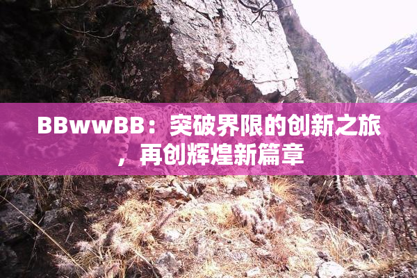 BBwwBB：突破界限的创新之旅，再创辉煌新篇章