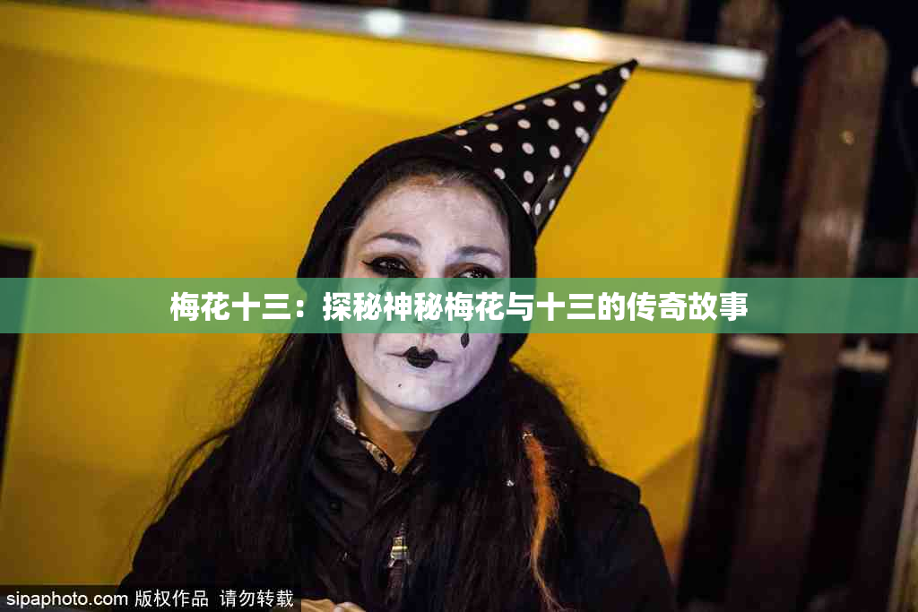 梅花十三：探秘神秘梅花与十三的传奇故事