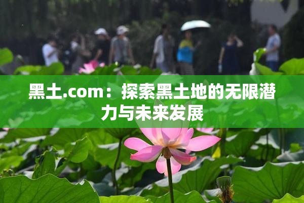 黑土.com：探索黑土地的无限潜力与未来发展