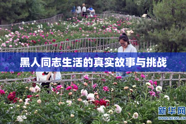 黑人同志生活的真实故事与挑战