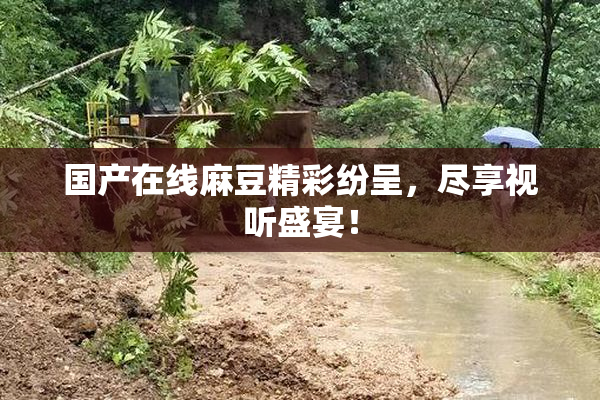 国产在线麻豆精彩纷呈，尽享视听盛宴！