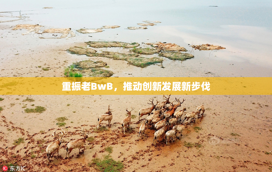 重振老BwB，推动创新发展新步伐