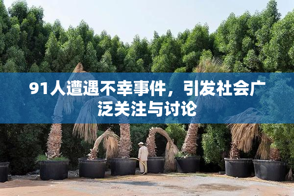 91人遭遇不幸事件，引发社会广泛关注与讨论