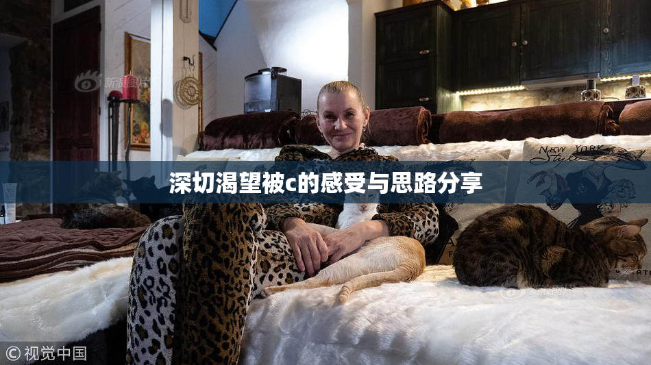 深切渴望被c的感受与思路分享