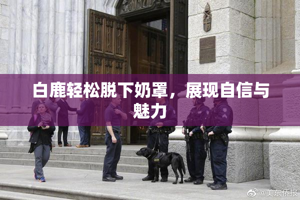 白鹿轻松脱下奶罩，展现自信与魅力
