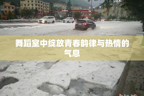 舞蹈室中绽放青春韵律与热情的气息