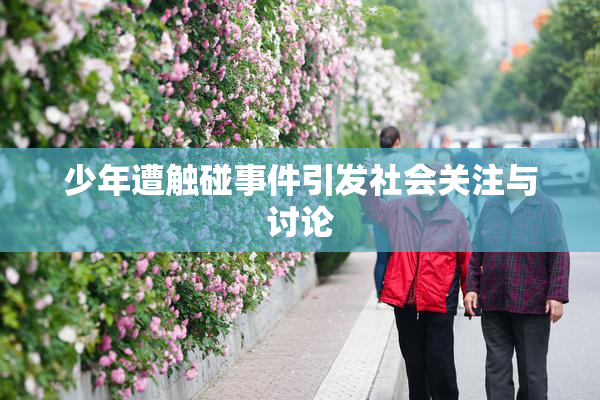 少年遭触碰事件引发社会关注与讨论