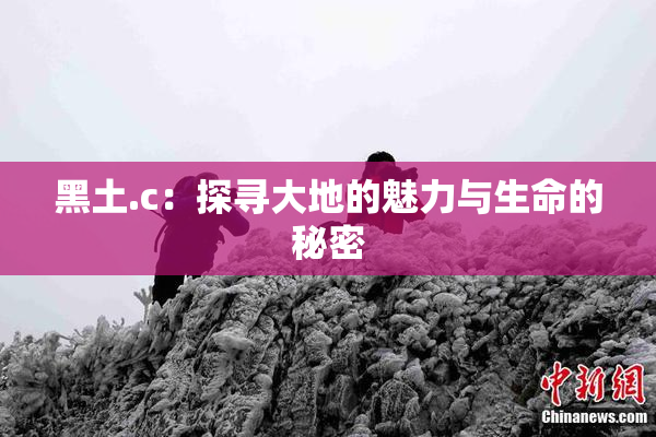 黑土.c：探寻大地的魅力与生命的秘密